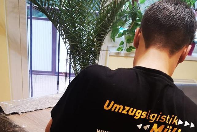 Laborumzug Radibor stressfrei umziehen 